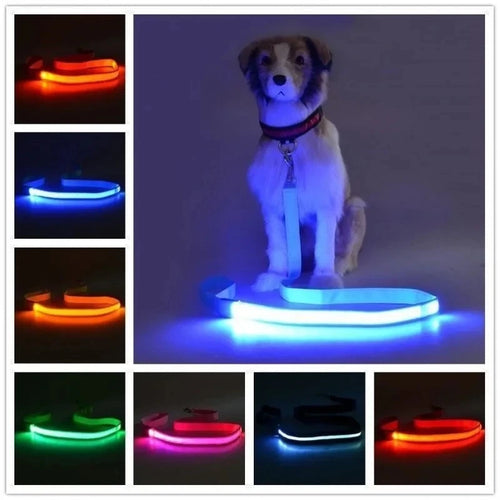 GlowLead™ USB Rechargeable LED Safety Leash