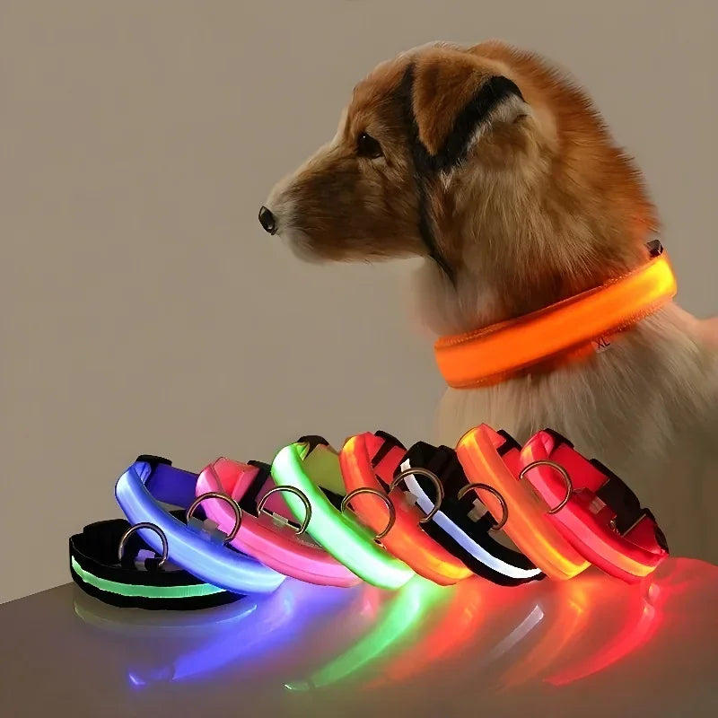 NightGlow™ LED Safety Collar